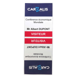 EP01100260 - Badges cartonnés adhésifs en paravent -  100x260mm -  lot de 1000