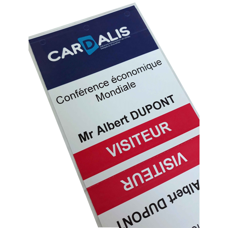 EP01100260 - Badges cartonnés adhésifs en paravent -  100x260mm -  lot de 1000