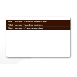 Cartes plastique avec piste magnétique basse coercivité - Cardalis