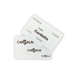 C5201 - Cartes Evolis - PVC blanches réinscriptibles encre noire_01