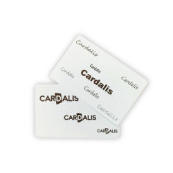 C5201 - Cartes Evolis -  PVC blanches réinscriptibles encre noire_01