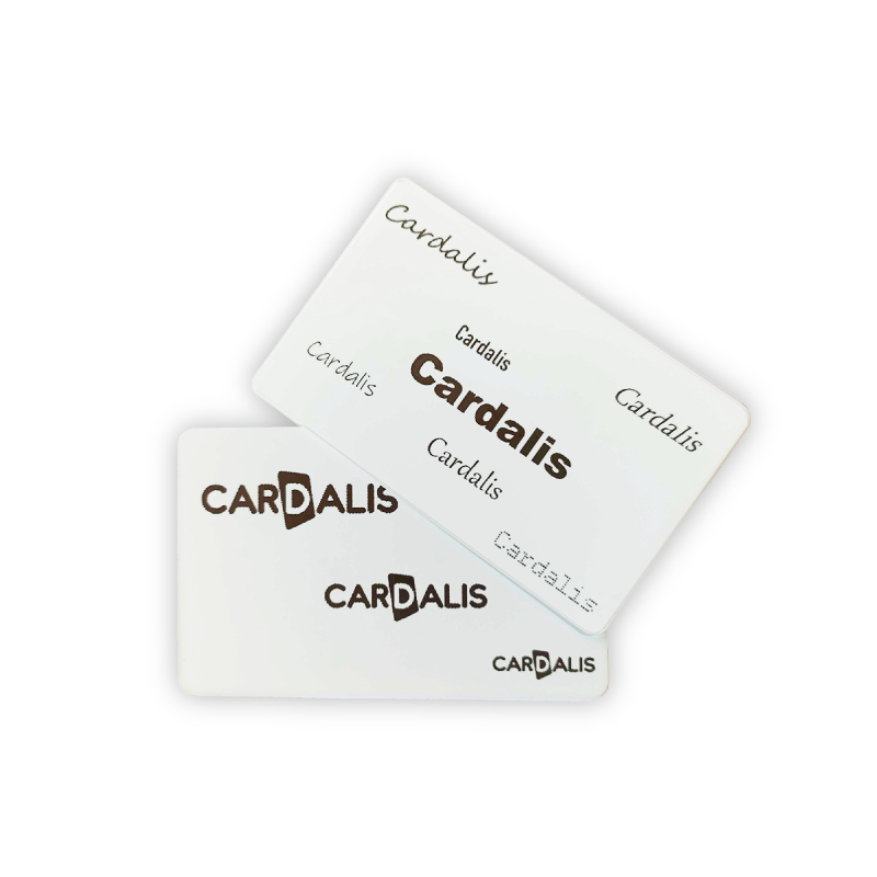 C5201 - Cartes Evolis, PVC blanches réinscriptibles encre noire
