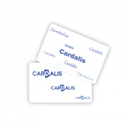 cartes Réinscriptible C5101 bleu_01