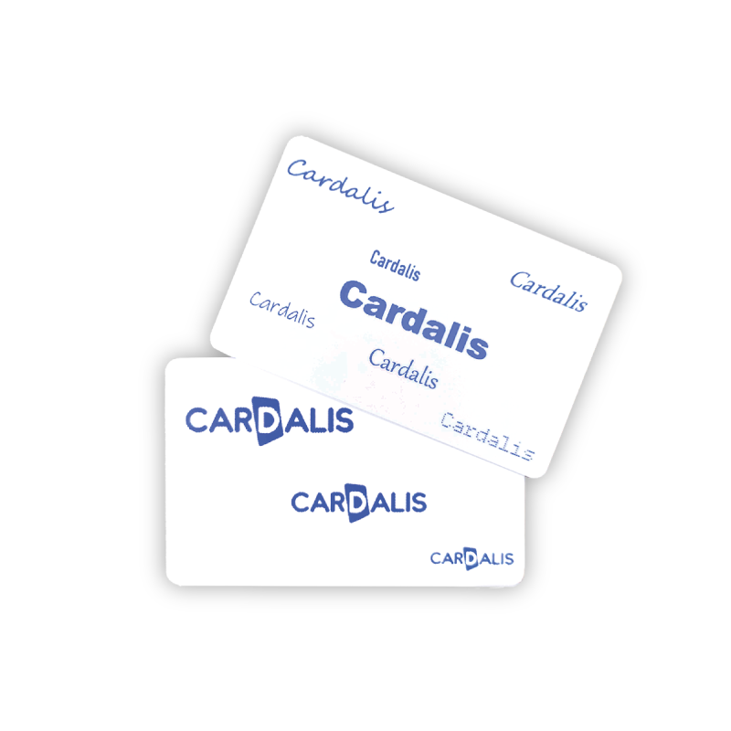 cartes Réinscriptible C5101 bleu_01 cartes Réinscriptible C5101 bleu_01