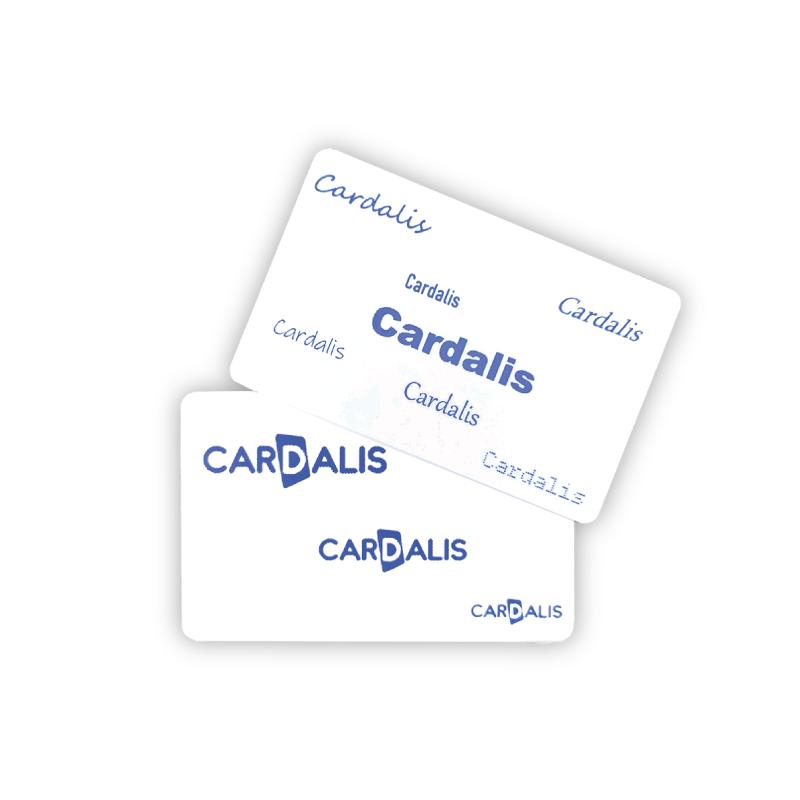 cartes Réinscriptible C5101 bleu_01