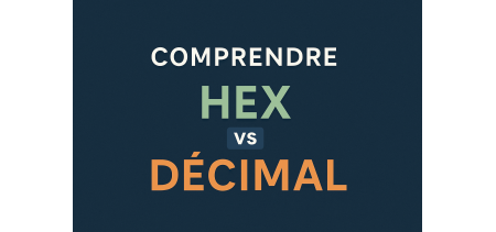Comprendre les différences entre HEX et DÉCIMAL pour les cartes RFID : MIFARE vs 125 kHz